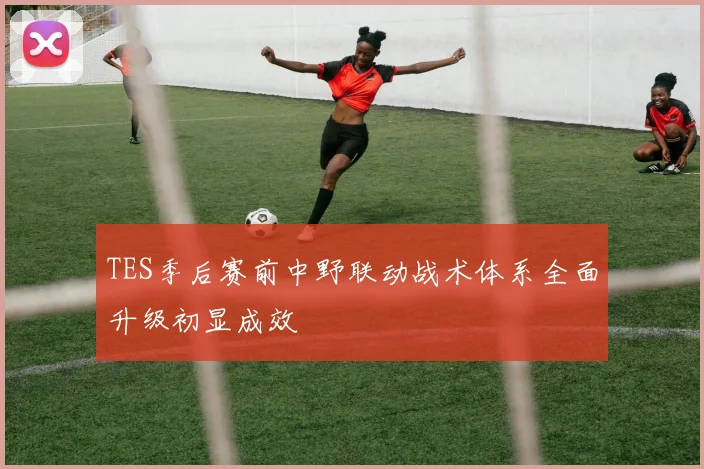 TES季后赛前中野联动战术体系全面升级初显成效